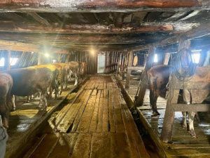 В Якутии арестованы мужчины, обвиняемые в использовании рабского труда