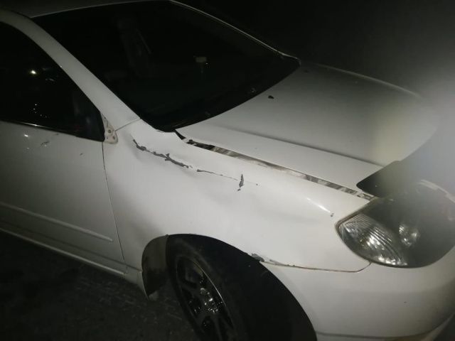 Дама с собачкой попала в ДТП