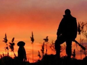 Важно: Сроки весенней охоты на водоплавающую дичь в Якутии