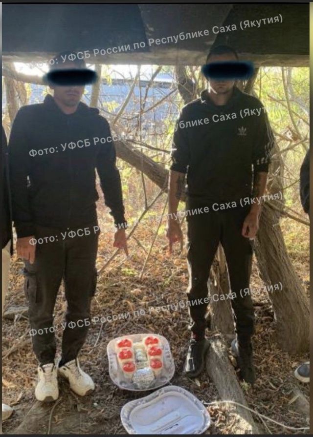 ФСБ: Ликвидирован канал поставки наркотиков