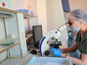 Более 12 тысяч мужчин прошли обследование репродуктивного здоровья за I квартал 2025 года