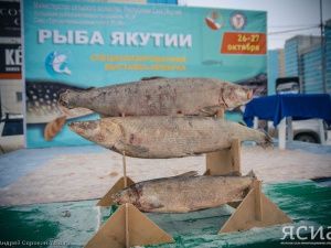 Почти все Арктические районы представят свою продукцию на выставке-ярмарке «Рыба Якутии»