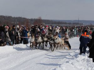 День оленевода отметили в селе Иенгра Якутии