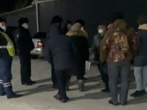 В Бурятии задержали фуру с собаками из Якутии