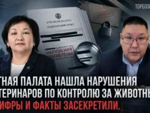 Счетная палата нашла нарушения у ветеринаров по контролю за животными, но цифры и факты засекретили
