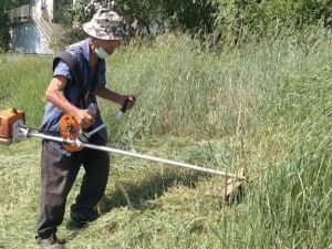 В Якутске скошено 140 тысяч квадратных метров травы