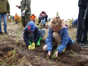 Сохраним лес: В пригороде Якутска высадили более тысячи саженцев деревьев