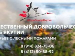 Штаб: Набираем добровольцев от 18 до 65 лет