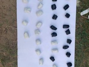 Наркоторговцы перевозили наркотики в Якутск, спрятав их в гипсовые бюсты Льва Толстого