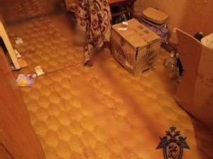 Житель Нюрбы подозревается в двойном убийстве