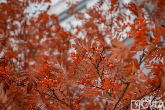 Анна и Савва Скирдники 10 сентября 2023 года: история, запреты и приметы праздника