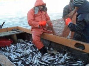 В Якутии завели дела из-за невыплаты зарплаты рыболовецкими предприятиями