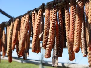 Айсен Николаев оценил работу рыболовных хозяйств Аллаиховского района