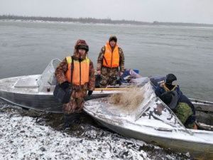 В периоды нереста на реке Колыма инспекторами проведены усиленные контрольно-надзорные мероприятия
