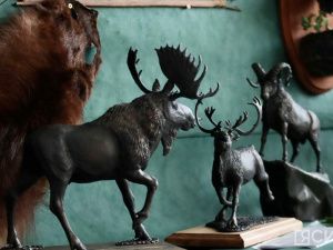 В Якутске открылась выставка трофеев «Охота и охотничьи традиции»