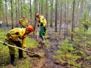Тушение десяти лесных пожаров ведется в Якутии