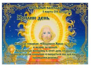 Едим всё и гуляем! 