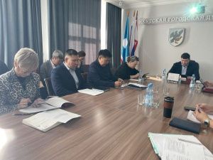 На заседании комиссии Якутской городской Думы рассмотрены вопросы исполнения муниципальных программ