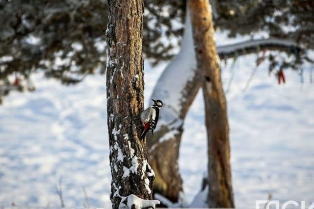 В Якутии планируют открыть не менее 20 новых детских турмаршрутов