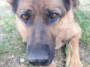 Джуна поймала грабителя