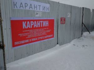 Оставшихся в пункте передержки Якутска животных подвергнут эвтаназии