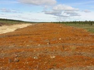 Новый способ оценки почв поможет в рекультивации земель