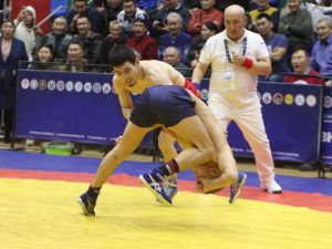 Борцы Тимур Николаев и Никита Софронов завоевали титулы абсолютных чемпионов турнира Ноговицыных