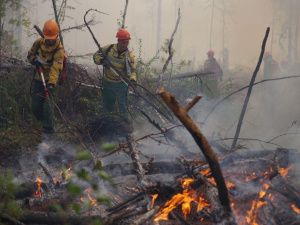 Еще один пожар ликвидирован за сутки в Якутии