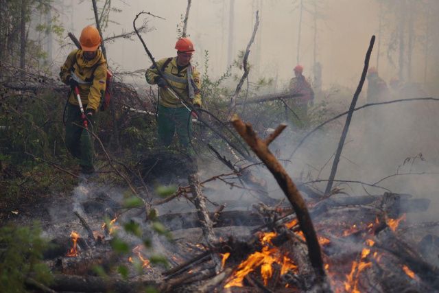 Еще один пожар ликвидирован за сутки в Якутии