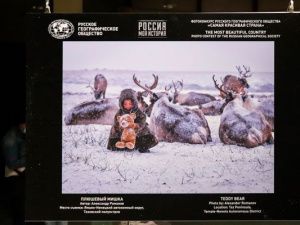 Сотрудники УФСИН со своими семьями посетили фотовыставку «Самая красивая страна», которая открылась в музейном комплексе «Россия — моя история» 