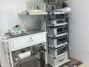 ТаймЛизинг профинансировал малоинвазивное оборудование для ветклиники