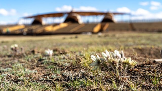 В местности «Үс Хатыҥ» пройдет городской субботник