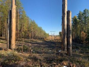 В Якутии трое мужчин обвиняются в похищении человека: Мужчину выкинули в овраг, где он замерз насмерть