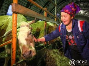 В России требует сохранить укорочённую рабочую неделю для сельских женщин