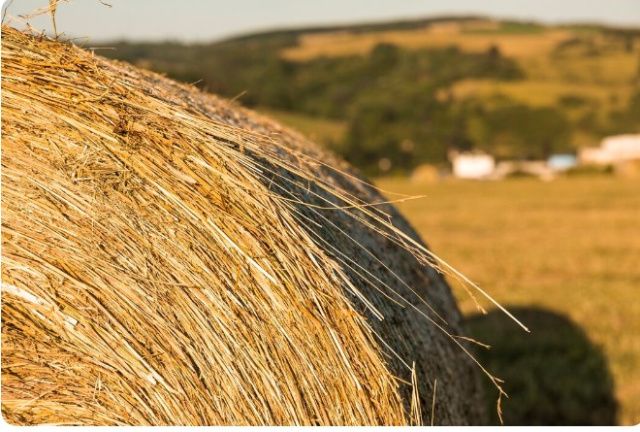 В Нюрбинском улусе пропавшего вчера подростка нашли спящим на сеновале