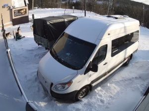 В Нерюнгри после нападения стаи бродячих собак на женщину возбудили дело о халатности