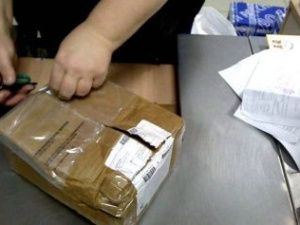 Мошенники прислали жителю Якутска нерабочий Ginzzu вместо iPhone