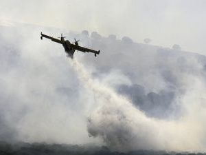 Шашлыки обошлись двум студентам в миллионы евро