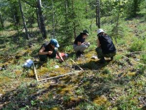 Надежда Данилова:  «Над составлением Красной книги Якутии работал большой коллектив ученых»