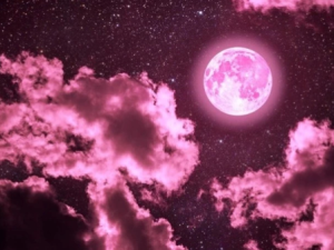 Гороскоп на 18 декабря 2025 года для всех знаков зодиака