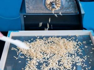 В исправительной колонии № 3 запущено новое оборудование по изготовлению макаронных изделий