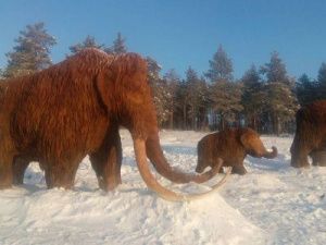 Фотофакт: на Табагинском мысе появилось семейство мамонтов