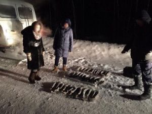 В Якутии браконьер выловил осетров на сумму более 5 миллионов рублей
