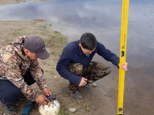 Вторая волна весеннего половодья проходит в Ленском районе 18.00