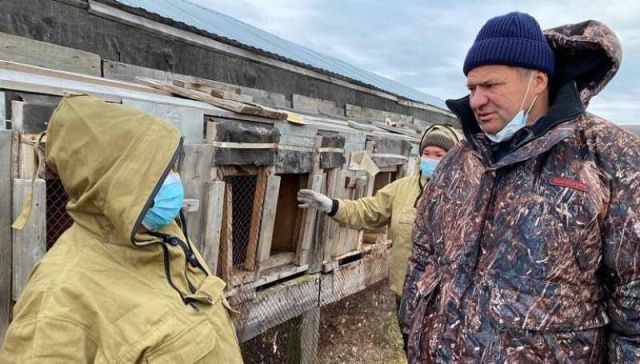 Андрей Тарасенко сообщил о строительстве глубоководного порта-хаба в Булунском районе