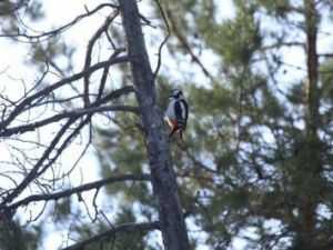 В столице резко похолодало 