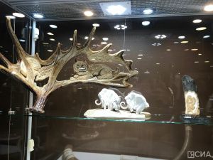 Выдающимся ювелирам и художникам вручили нагрудные знаки «Бриллиант Якутии»