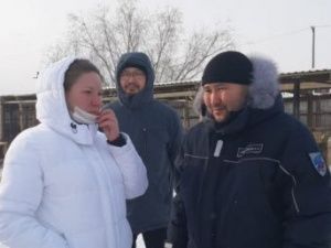 В Якутске купят спецмашину для отлова бродячих животных