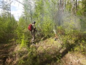 В Якутии ликвидировали два лесных пожара