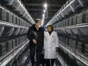 Цех по выращиванию молодняка открыли на Якутской птицефабрике